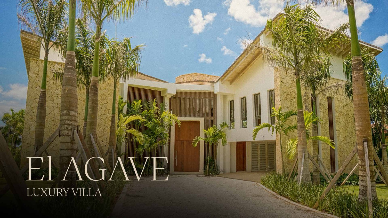 El Agave — foto 1